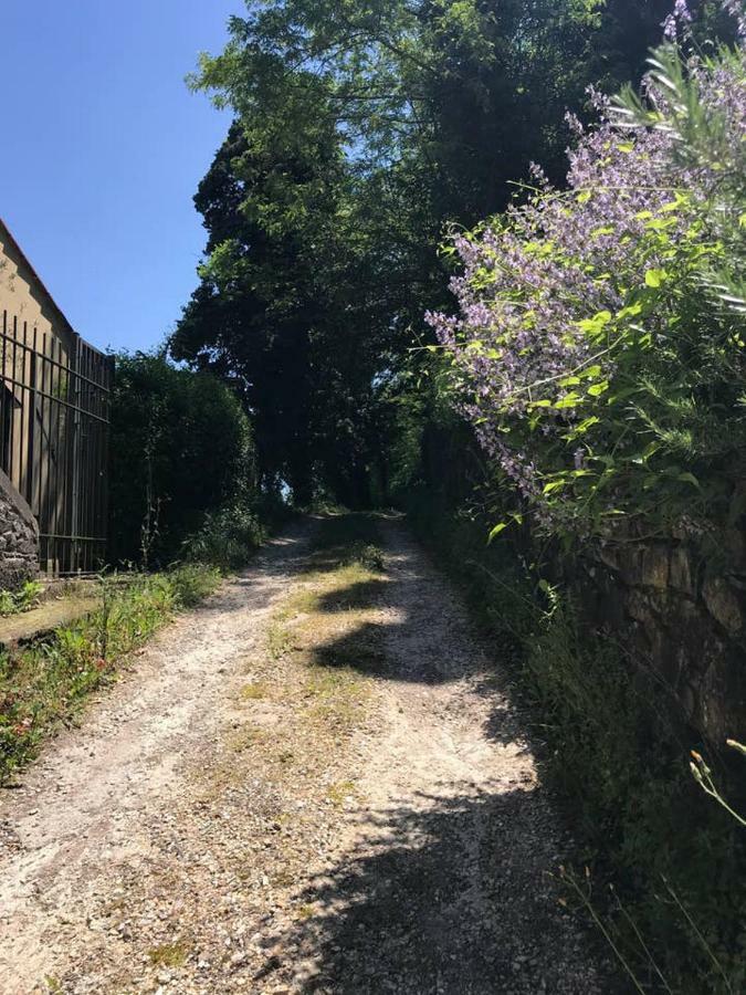 Antica Dimora Di Laura Barberino di Mugello Exterior photo