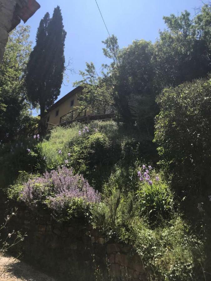 Antica Dimora Di Laura Barberino di Mugello Exterior photo